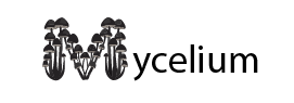 Mycelium Logo